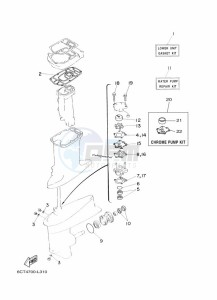 30DMHOL drawing REPAIR-KIT-2