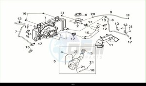 JOYRIDE S 125 (LF12W4-EU) (M1) drawing RADIATOR SHROUD