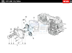 CITYLINE-IE-125-300-BLACK drawing TRANSMISSION COVER - EXHAUST CAMSHAFT  300 cc