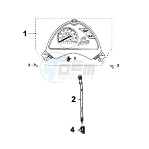 LUDIX 10 RORA SNAKE drawing SPEEDO