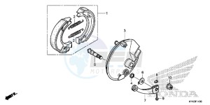 CRF110FD CRF110F Europe Direct - (ED) drawing FRONT BRAKE PANEL