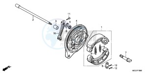 VT750C2BC drawing REAR BRAKE PANEL (VT750C2B/C/CA)