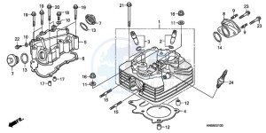 TRX250XA Australia - (U) drawing CYLINDER HEAD