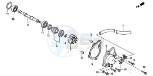 CH125 drawing WATER PUMP