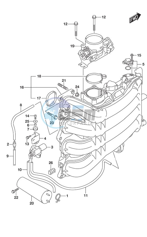 Intake Manifold/Throttle Body