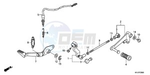 CBR250RB drawing PEDAL