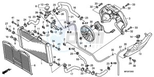 CB600FA3A Europe Direct - (ED / ABS ST) drawing RADIATOR