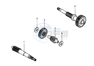 SV - 250 cc drawing GEAR GROUP