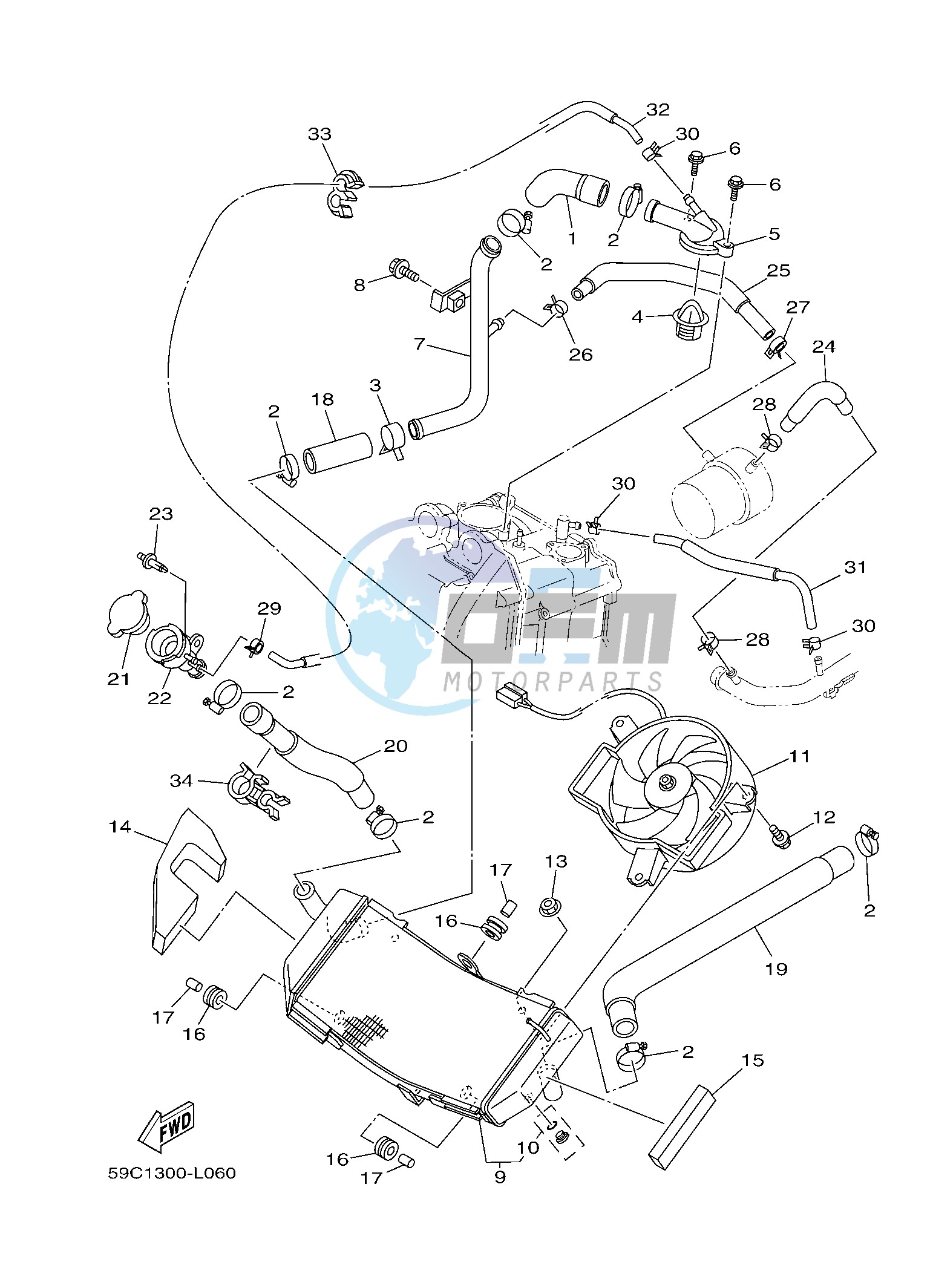 RADIATOR & HOSE