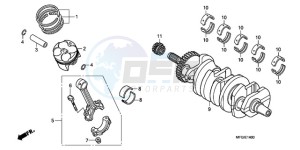 CB600F3A Australia - (U / ST) drawing CRANKSHAFT/PISTON