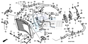 CBR600RR9 UK - (E / SPC) drawing RADIATOR