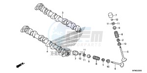 CB1000RAF CB1000R 2ED - (2ED) drawing CAMSHAFT/VALVE