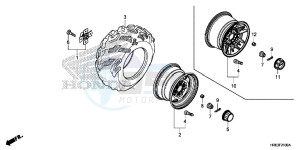 TRX500FA6G TRX500FA Australia - (U) drawing REAR WHEEL