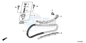 SH300C drawing CAM CHAIN