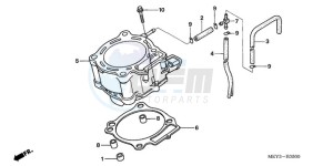 CRF450X9 Europe Direct - (ED) drawing CYLINDER