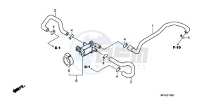 CBF1000TA France - (F / ABS CMF) drawing AIR INJECTION CONTROL VALVE