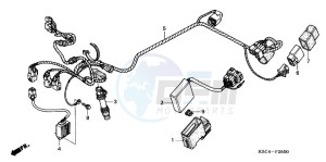 CRF250XB CRF250X ED drawing WIRE HARNESS