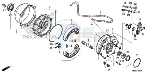 TRX420FA1F TRX420 Europe Direct - (ED) drawing REAR BRAKE PANEL