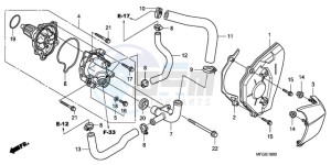 CB600FA France - (F / CMF 25K) drawing WATER PUMP