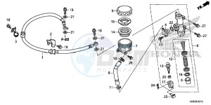 TRX500FM5F TRX500FM Europe Direct - (ED) drawing REAR BRAKE MASTER CYLINDER