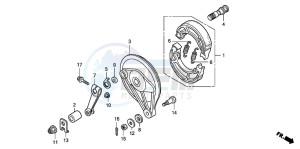 CBF150SH drawing REAR BRAKE PANEL