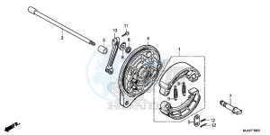 VT750C2BE Shadow - VT750C2B-E UK - (E) drawing REAR BRAKE PANEL (VT750C2B/ C)