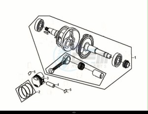 CROX 50 (AE05WB-EU) (E5) (M1) drawing CRANK SHAFT