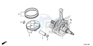 CRF250XD CRF250R Europe Direct - (ED) drawing CRANKSHAFT/PISTON