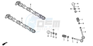 CB600F HORNET drawing CAMSHAFT/VALVE