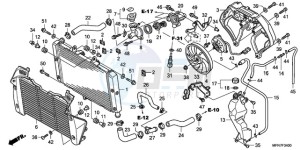 CB1000R9 France - (F / CMF) drawing RADIATOR