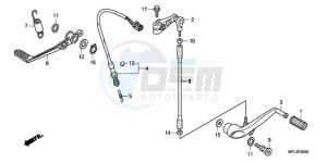 CBR1000RRA Europe Direct - (ED / HRC) drawing PEDAL