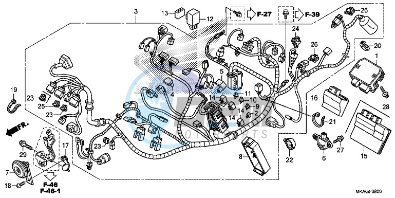 WIRE HARNESS