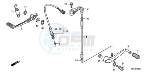 CBR1000RR9 Europe Direct - (ED / MK) drawing PEDAL