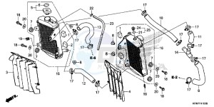 CRF250RE CRF250R Europe Direct - (ED) drawing RADIATOR