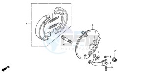 CRF80F 100 drawing FRONT BRAKE PANEL