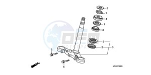 CBF1000TA France - (F / ABS CMF) drawing STEERING STEM