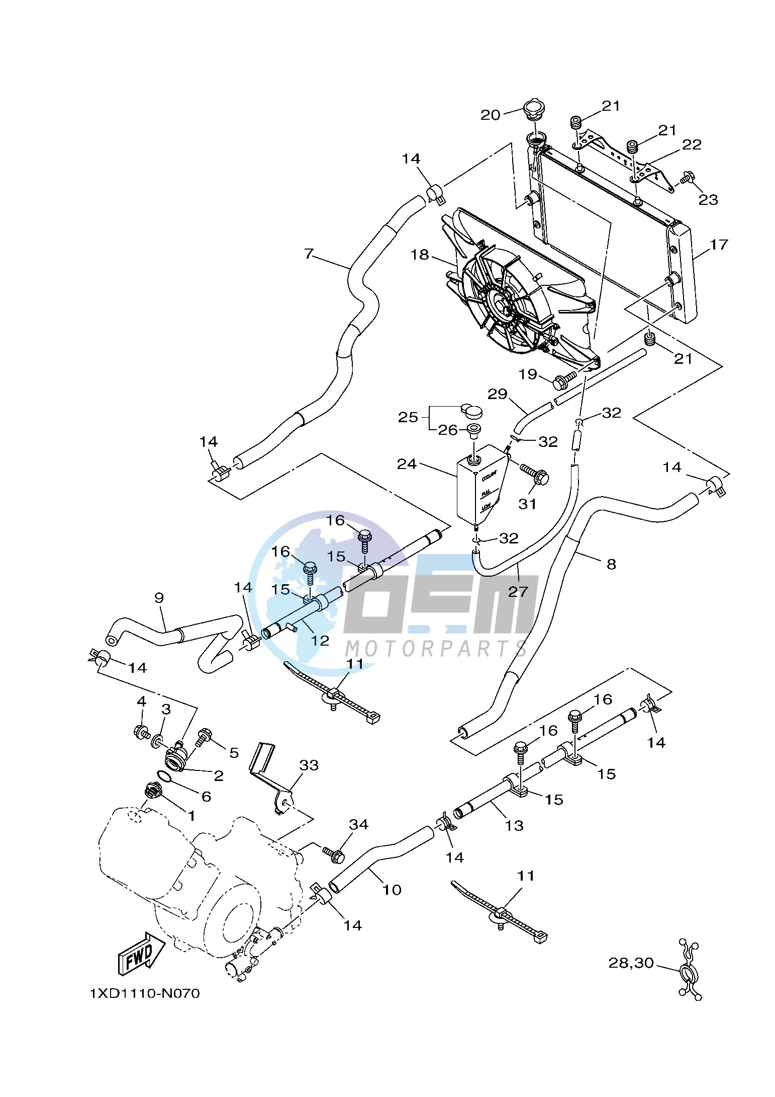 RADIATOR & HOSE