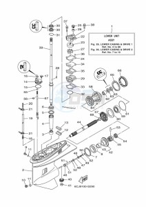 F70AETX drawing LOWER-CASING-x-DRIVE-1