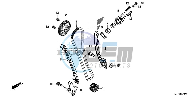 CAM CHAIN/TENSIONER