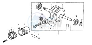 XR50R drawing CRANKSHAFT/PISTON