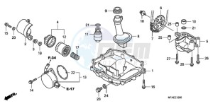 CBF1000A Europe Direct - (ED) drawing OIL PAN/OIL PUMP