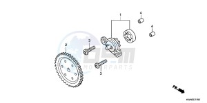 WW125EX2C drawing OIL PUMP