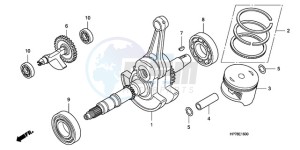 TRX420FAA Australia - (U) drawing CRANK SHAFT/PISTON