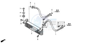 TRX250TM FOURTRAX RECON drawing OIL COOLER