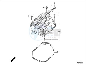 CRF125FBH Europe Direct - (ED) drawing CYLINDER HEAD COVER