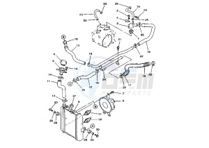 YP MAJESTY DX 250 drawing RADIATOR-HOSE