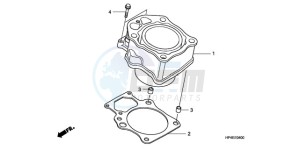 TRX420FE9 Australia - (U / 4WD) drawing CYLINDER