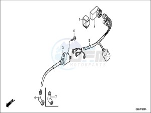 CRF50FH Europe Direct - (ED) drawing WIRE HARNESS