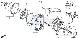 TRX500FED TRX500FE Europe Direct - (ED) drawing REAR BRAKE PANEL