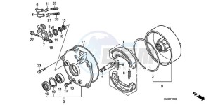 TRX250TMA ED drawing REAR BRAKE DRUM